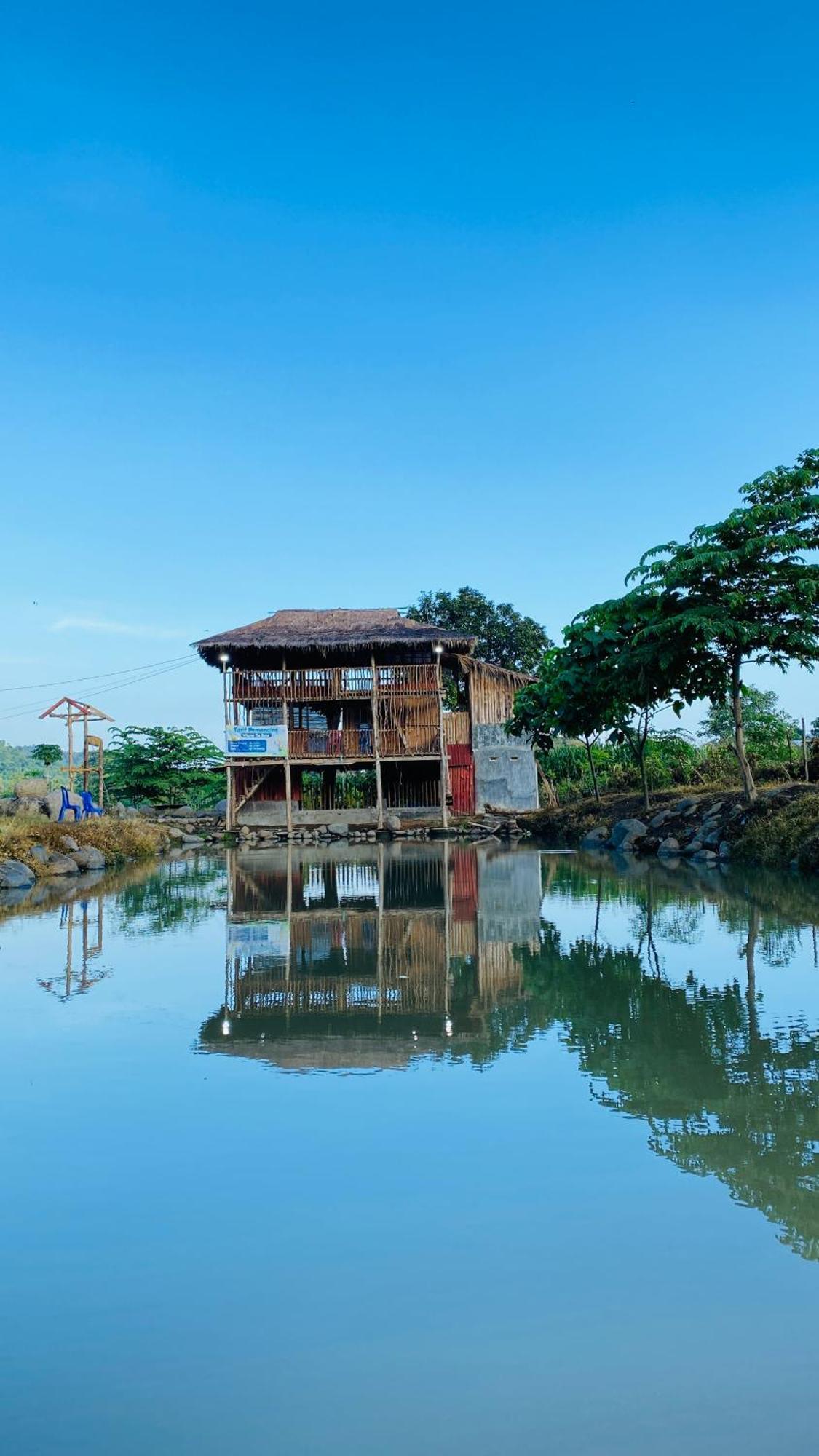 Tiu Batu Homestay Alas Exterior photo